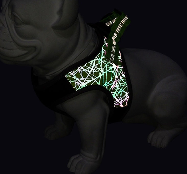 ControlWalk™ – Chaleco Antitirones para Perros