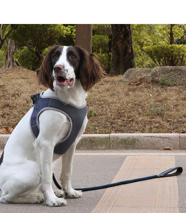ControlWalk™ – Chaleco Antitirones para Perros