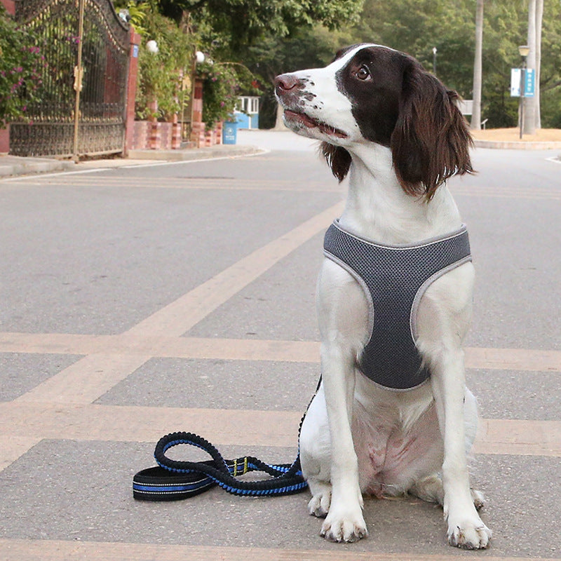 ControlWalk™ – Chaleco Antitirones para Perros