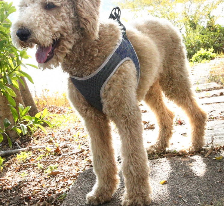 ControlWalk™ – Chaleco Antitirones para Perros
